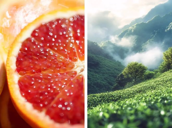 香水、身体炸划算还有节日限定香薰、香包PG麻将胡了试玩平台香香好物丨欧珑正装(图30)