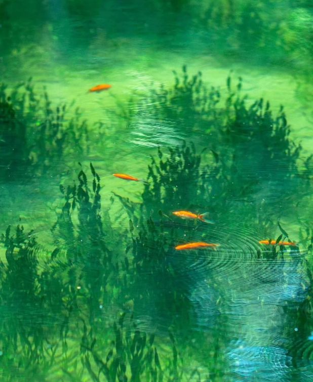 香水、身体炸划算还有节日限定香薰、香包PG麻将胡了试玩平台香香好物丨欧珑正装(图31)